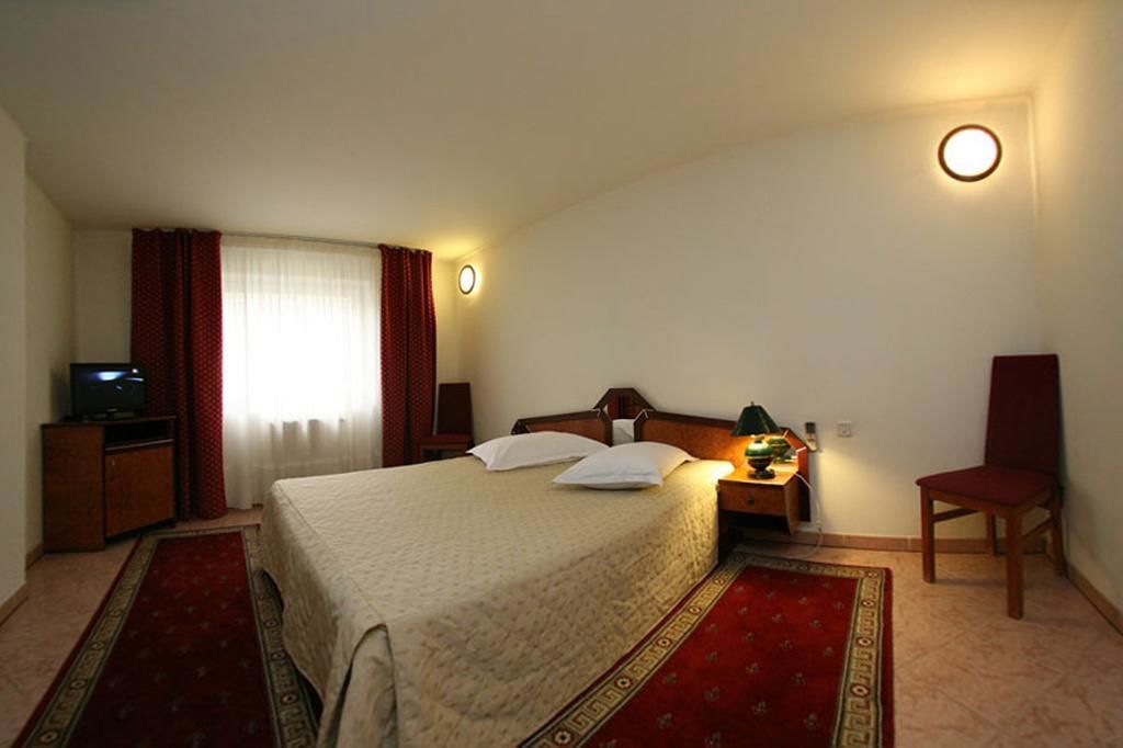 Отель Euro Hotel Тимишоара-4